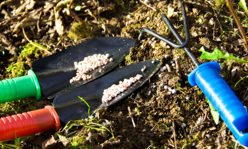 Soil Improvement Image