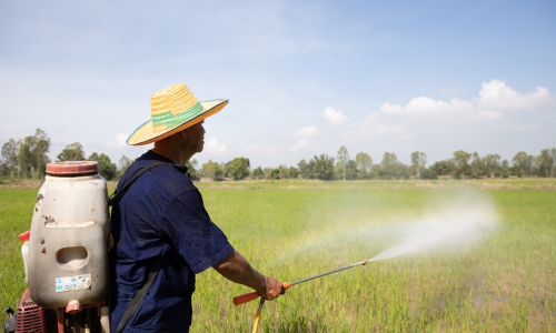 Crop Nutrition Image